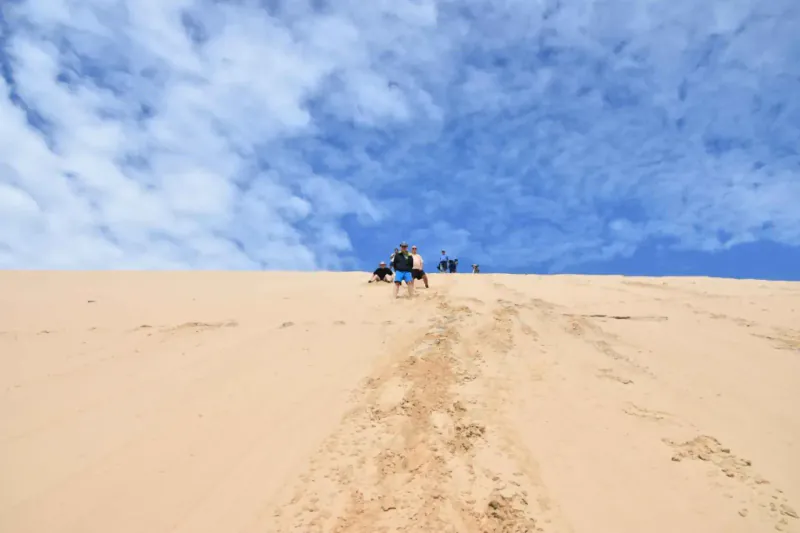 12-Day Camping Overland – Mozambique wilderness