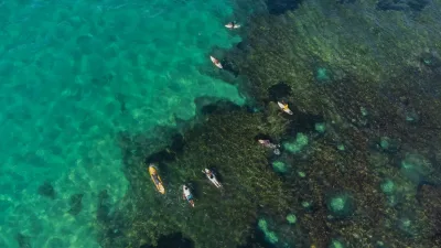 Reef diving off Tofo Beach