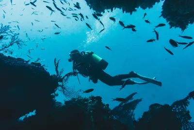 Reef diving off Tofo Beach