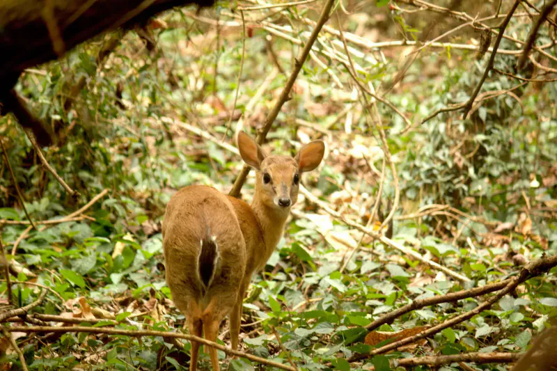 Mabeco Tours gallery photo 4