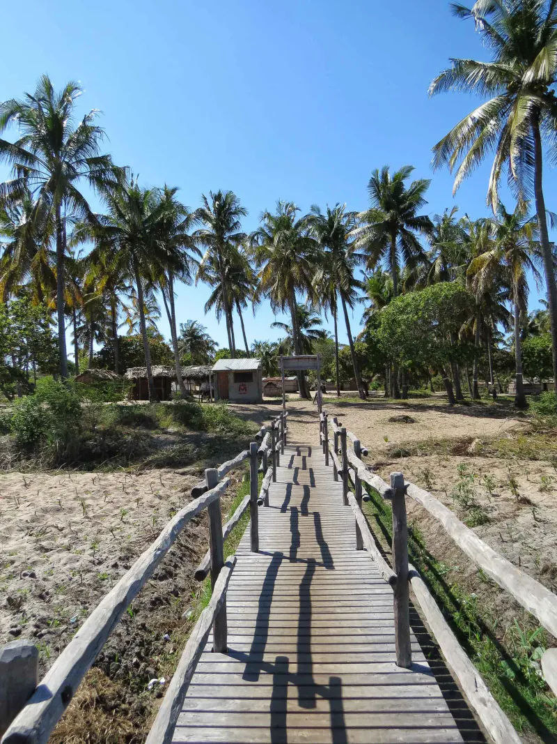 Mabeco Tours gallery photo 9