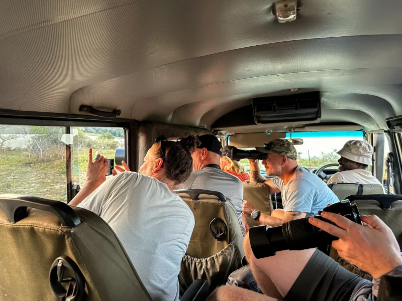 Safari Adventures