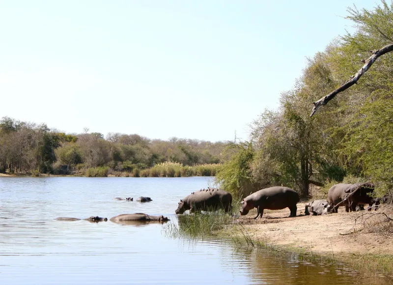 Kruger National Park scenery
