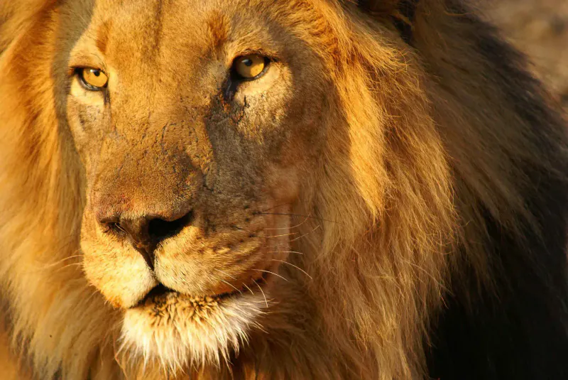 Kruger National Park
