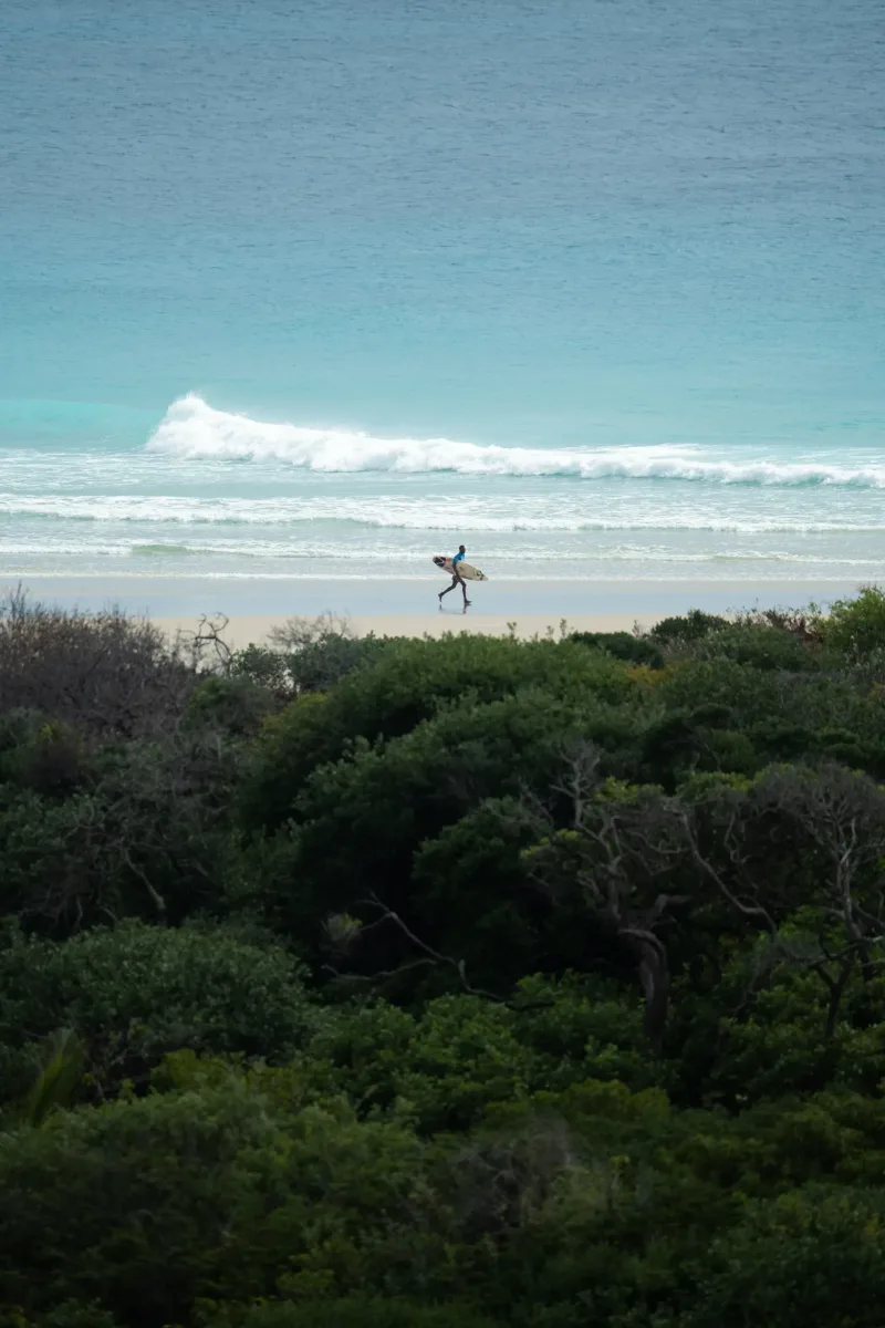 Surf session Tofo Beach